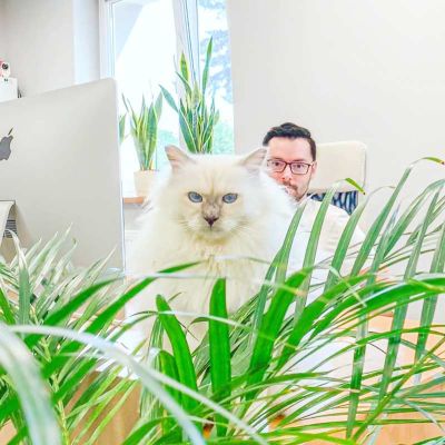 Zesp&oacute;ł Kozubek.info